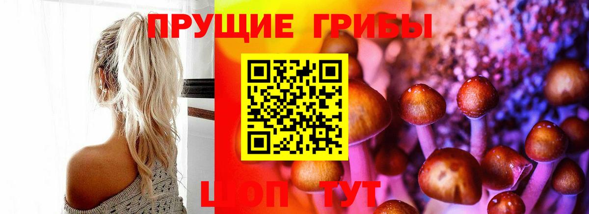 Вичуга  дарнет шоп  Вход с VPN  Псилоцибиновые грибы Psilocybine cubensis 